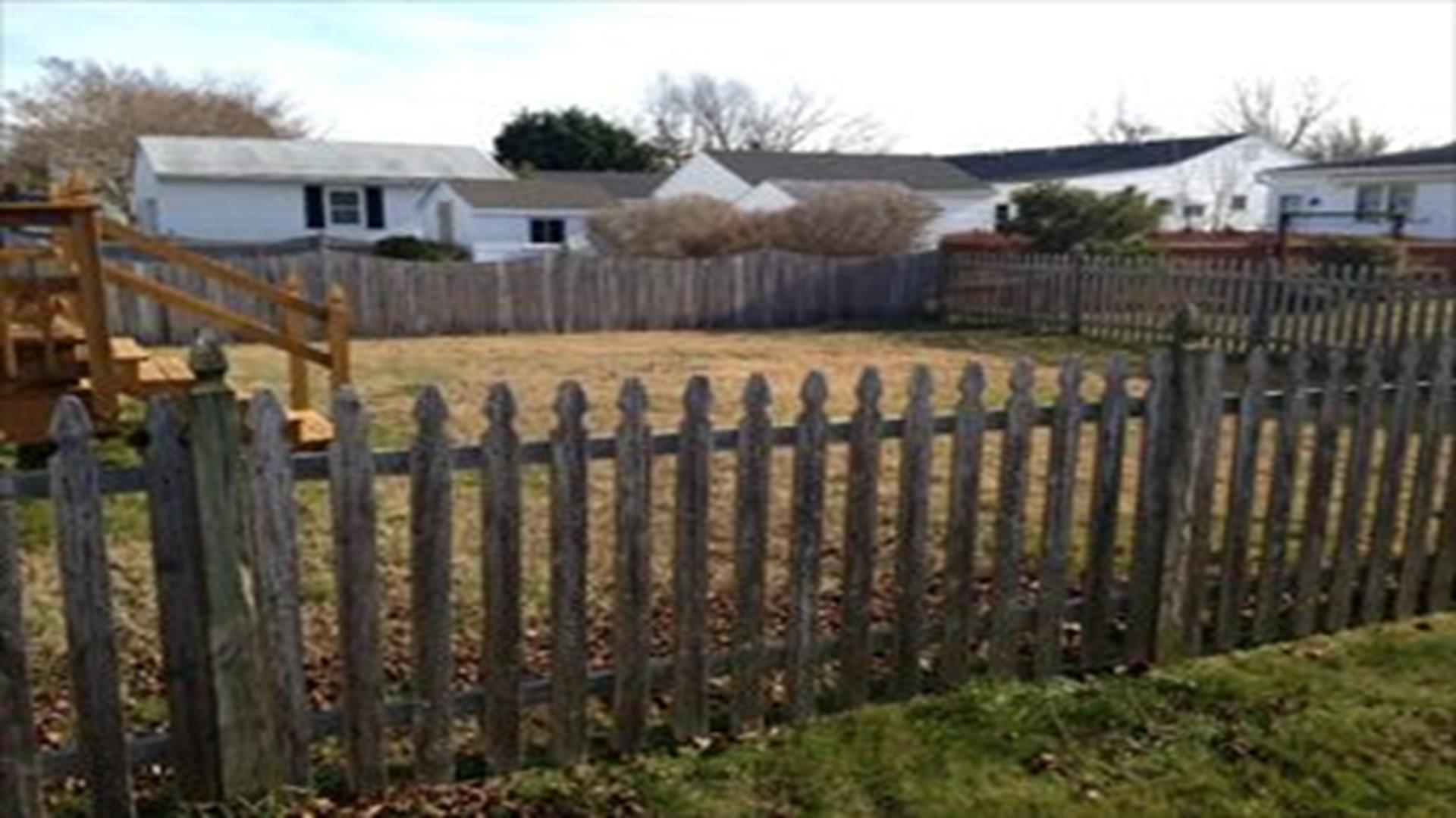 Vacation Rentals Cape May Dog Friendly Fenced Yard!